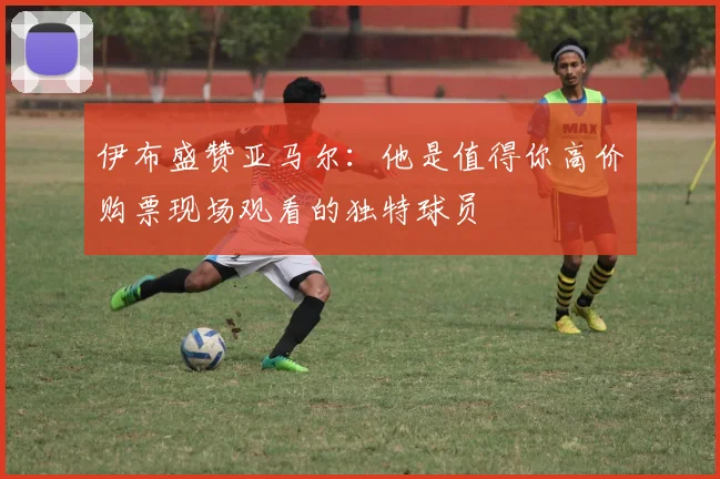 伊布盛赞亚马尔：他是值得你高价购票现场观看的独特球员